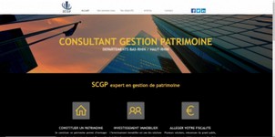 consultant gestion patrimoine  699.jpg