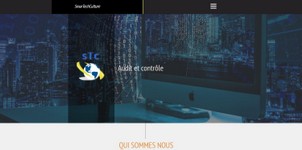 smartechculture750.jpg
