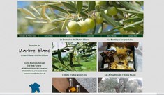 domaine arbre blanc huile d
