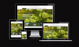 validations versions responsive google.JPG